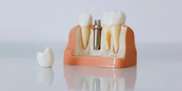 pexels-cottonbro-6502343